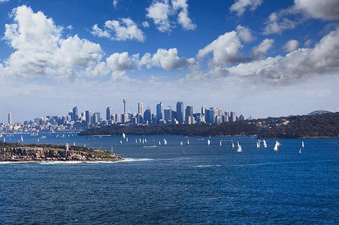 Sydney With Bondi And Beaches Essentials Private Day Tour - Accommodation Sunshine Coast 7