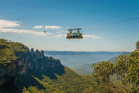 Blue Mountains Highlights, Wildlife Park And Scenic World Full Day Private Tour - Accommodation Sunshine Coast 0