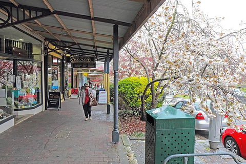 Blue Mountains Highlights, Wildlife Park And Scenic World Full Day Private Tour - Accommodation Sunshine Coast 2