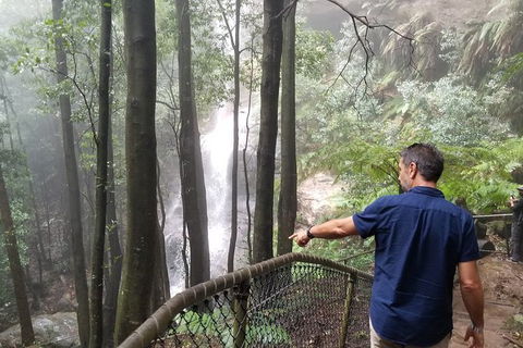 Blue Mountains Highlights, Wildlife Park And Scenic World Full Day Private Tour - Accommodation Sunshine Coast 6