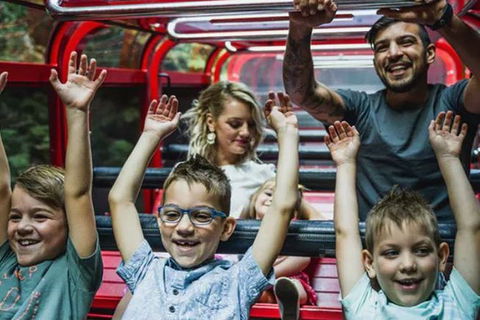 Blue Mountains Highlights, Wildlife Park And Scenic World Full Day Private Tour - Accommodation Sunshine Coast 5