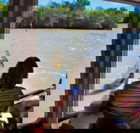 Jumping Crocs  Nature Adventure Cruise from Darwin - Accommodation Sunshine Coast