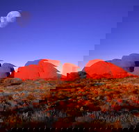 Kata Tjuta Afternoon Walpa Gorge Tour - Accommodation Sunshine Coast