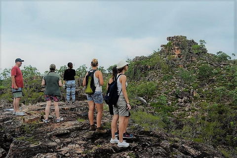 ETHICAL ADVENTURES - Dry Season Litchfield Region, Max 10 Guests - Accommodation Sunshine Coast 6