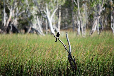 ETHICAL ADVENTURES - Dry Season Litchfield Region, Max 10 Guests - Accommodation Sunshine Coast 2