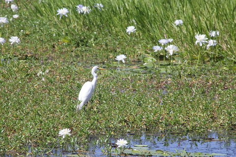 Darwin City Sights And Jumping Crocodile Cruise - Accommodation Sunshine Coast 1