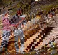 Karrke Aboriginal Cultural Experience - Accommodation Sunshine Coast