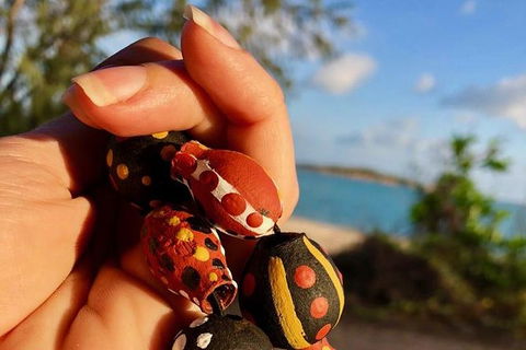 Gay-Wu Woman\'s 5 Day Yolngu Homeland Tour - Accommodation Sunshine Coast 1