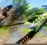 Kakadu  Arnhem Land tour Camping tour - Accommodation Sunshine Coast