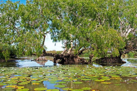 Ethical Adventures - Kakadu 2 Day- Max 10 Guests - Accommodation Sunshine Coast 10