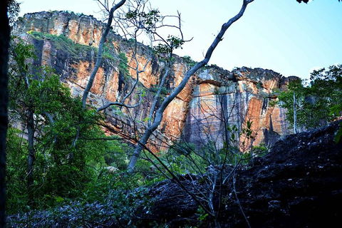 Ethical Adventures - Kakadu 2 Day- Max 10 Guests - Accommodation Sunshine Coast 6