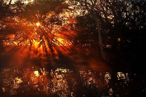 Ethical Adventures - Kakadu 2 Day- Max 10 Guests - Accommodation Sunshine Coast 5