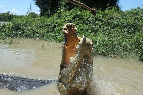 Jumping Crocodile Day Trip From Darwin - Accommodation Sunshine Coast 4