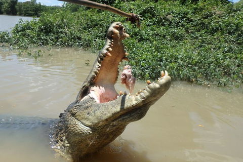 Jumping Crocodile Day Trip From Darwin - Accommodation Sunshine Coast 2