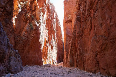 Best Of Alice Springs Full Day Tour - Accommodation Sunshine Coast 6