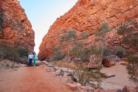 Best Of Alice Springs Full Day Tour - Accommodation Sunshine Coast 2