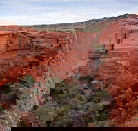Uluru Kata Tjuta and Kings Canyon Camping Safari from Ayers Rock - Accommodation Sunshine Coast