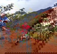 From Yulara Discover Uluru Half Day Bike Tour - Accommodation Sunshine Coast