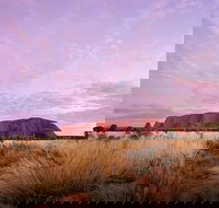 Sunset Australian Barbecue Dinner in Uluru - Accommodation Sunshine Coast
