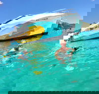 All Inclusive Dolphin and Tangalooma Wrecks Cruise - Accommodation Sunshine Coast