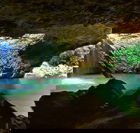 Springbrook and Mt Tamborine Adventure Tour - Bring the Kids - Accommodation Sunshine Coast