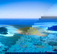 Lady Musgrave Day Trip from Bundaberg Including Snorkeling Glass Bottom Tour and Guided Island Walk - Accommodation Sunshine Coast