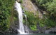 Full Day Tour In The Daintree - thumb 2