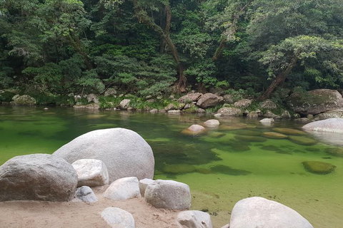 Full Day Tour In The Daintree - Accommodation Sunshine Coast 5
