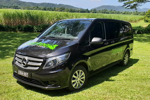 Full Day Tour In The Daintree - Accommodation Sunshine Coast 3
