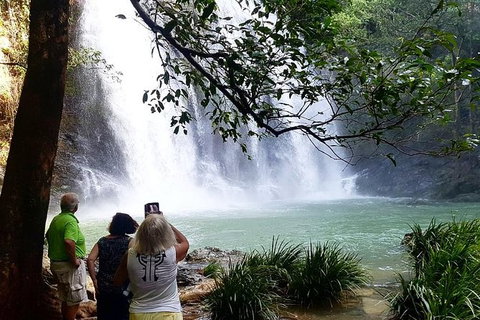 Full Day Tour In The Daintree - Accommodation Sunshine Coast 1