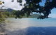 Full Day Tour In The Daintree - thumb 0