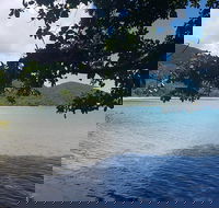 Full Day Tour in the Daintree - Accommodation Sunshine Coast