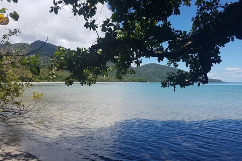 Full Day Tour In The Daintree - Accommodation Sunshine Coast 0