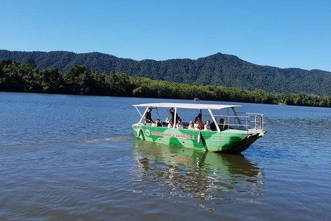 Full Day Tour In The Daintree - Accommodation Sunshine Coast 4