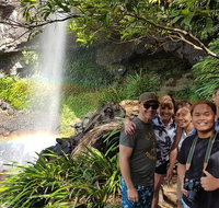 Small group Gold Coast Mountain Tour Springbrook National Park and Mt Tamborine - Accommodation Sunshine Coast