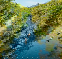 Cruise 'n' Canoe to Australia's Everglades - Accommodation Sunshine Coast