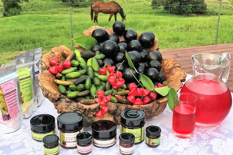 Boutique Atherton Tablelands Small-Group Food And Wine Tasting Tour From Cairns - Accommodation Sunshine Coast 10