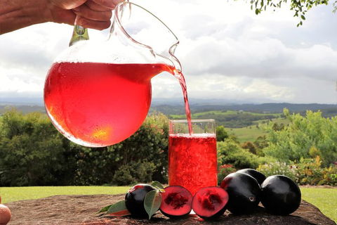 Boutique Atherton Tablelands Small-Group Food And Wine Tasting Tour From Cairns - Accommodation Sunshine Coast 18