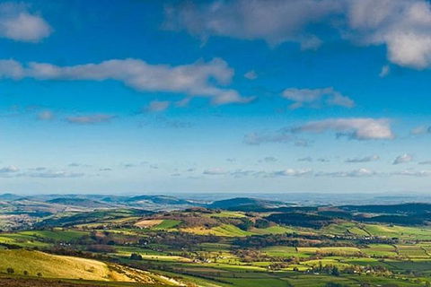 Boutique Atherton Tablelands Small-Group Food And Wine Tasting Tour From Cairns - Accommodation Sunshine Coast 4