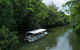 Daintree Rainforest, Cape Tribulation And Bloomfield Track Small Group Tour - thumb 5