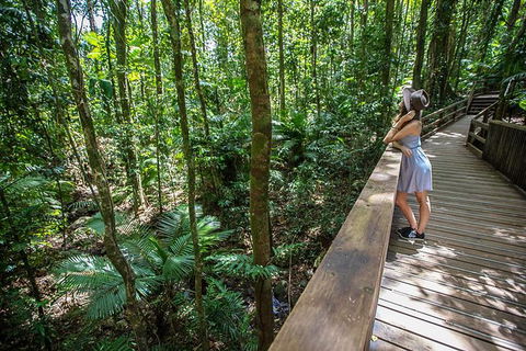 Daintree Rainforest, Cape Tribulation And Bloomfield Track Small Group Tour - Accommodation Sunshine Coast 3