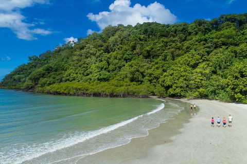 Daintree Rainforest, Cape Tribulation And Bloomfield Track Small Group Tour - Accommodation Sunshine Coast 2