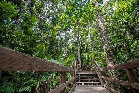 Daintree Rainforest, Cape Tribulation And Bloomfield Track Small Group Tour - Accommodation Sunshine Coast 13
