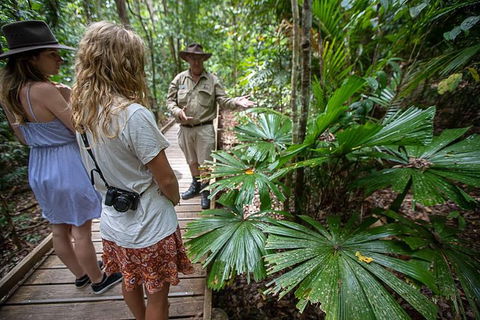 Daintree Rainforest, Cape Tribulation And Bloomfield Track Small Group Tour - Accommodation Sunshine Coast 12