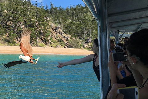 Aquascene Magnetic Island Discovery Tour - Accommodation Sunshine Coast 2