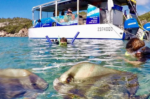 Aquascene Magnetic Island Discovery Tour - Accommodation Sunshine Coast 4