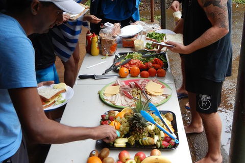 Atherton Tablelands Waterfalls Tour From Cairns - Accommodation Sunshine Coast 3