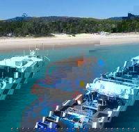 Cruise in Moreton Bay Marine Park and Moreton Island - Accommodation Sunshine Coast