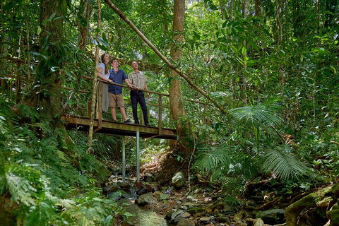 Daintree And Cape Tribulation Tour From Cairns - Accommodation Sunshine Coast 3