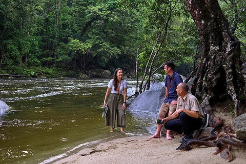 Daintree And Cape Tribulation Tour From Cairns - Accommodation Sunshine Coast 2